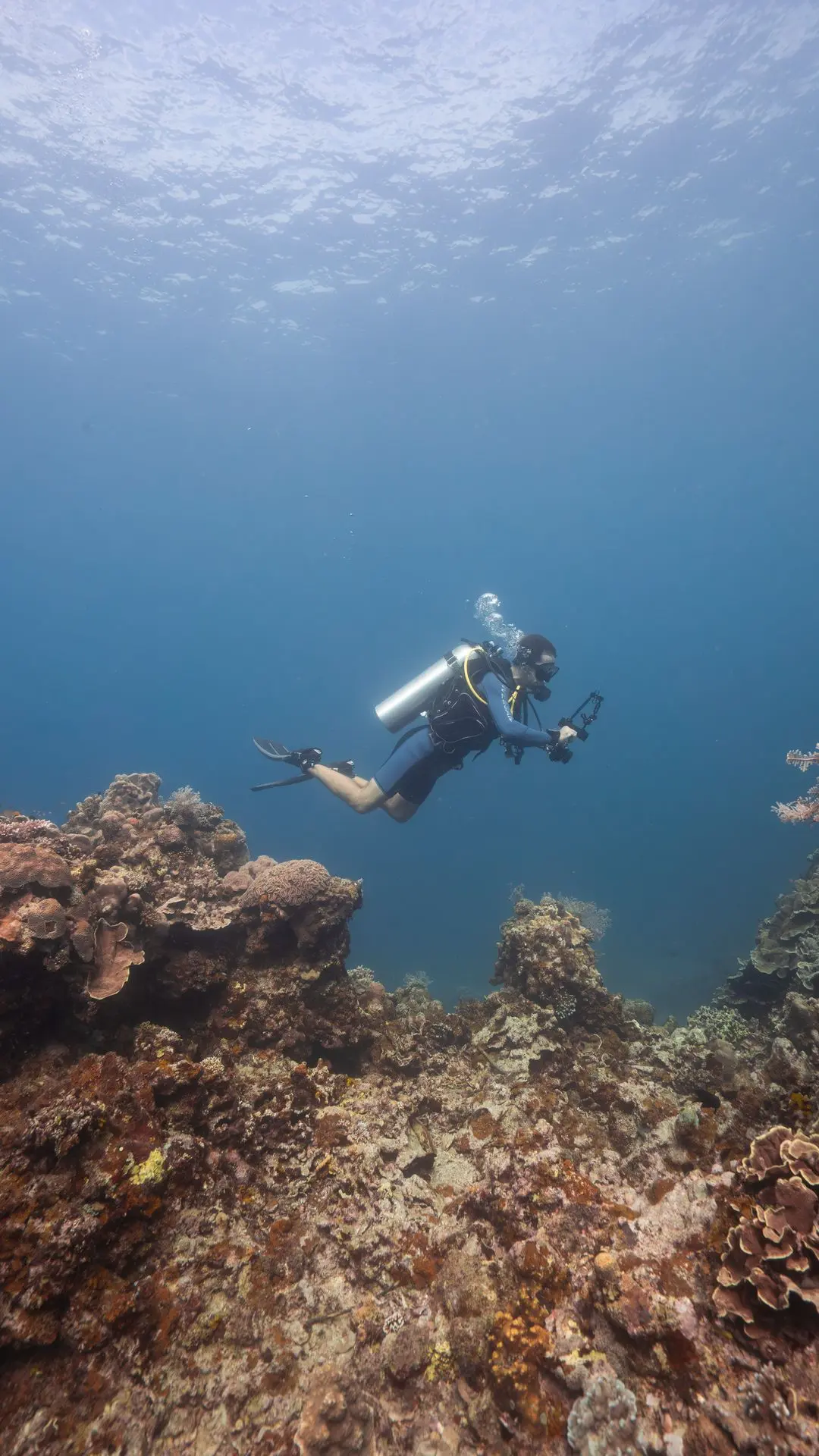 Siquijor-plongée-dive-diving-photography Siquijor-plongée-dive-diving-photography