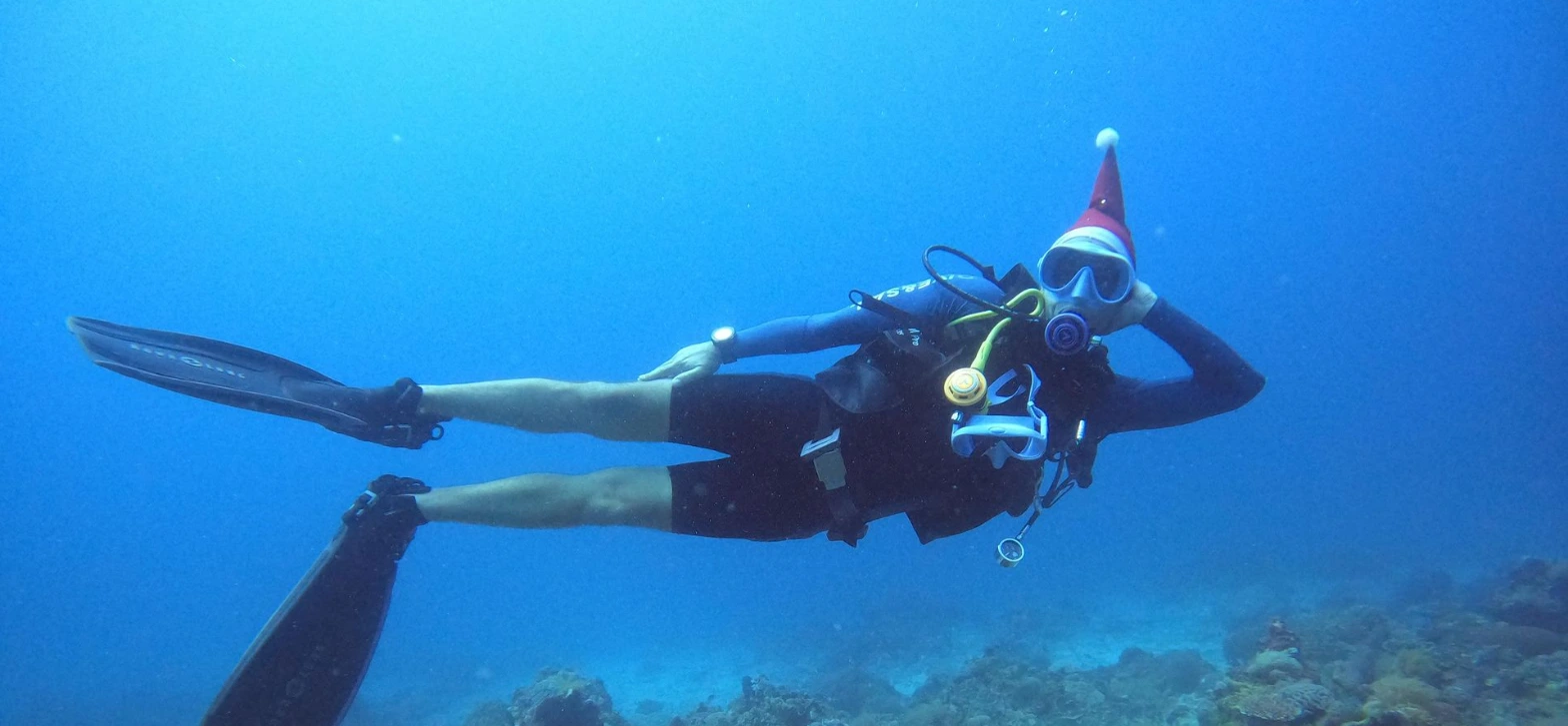 merry christmas dive 