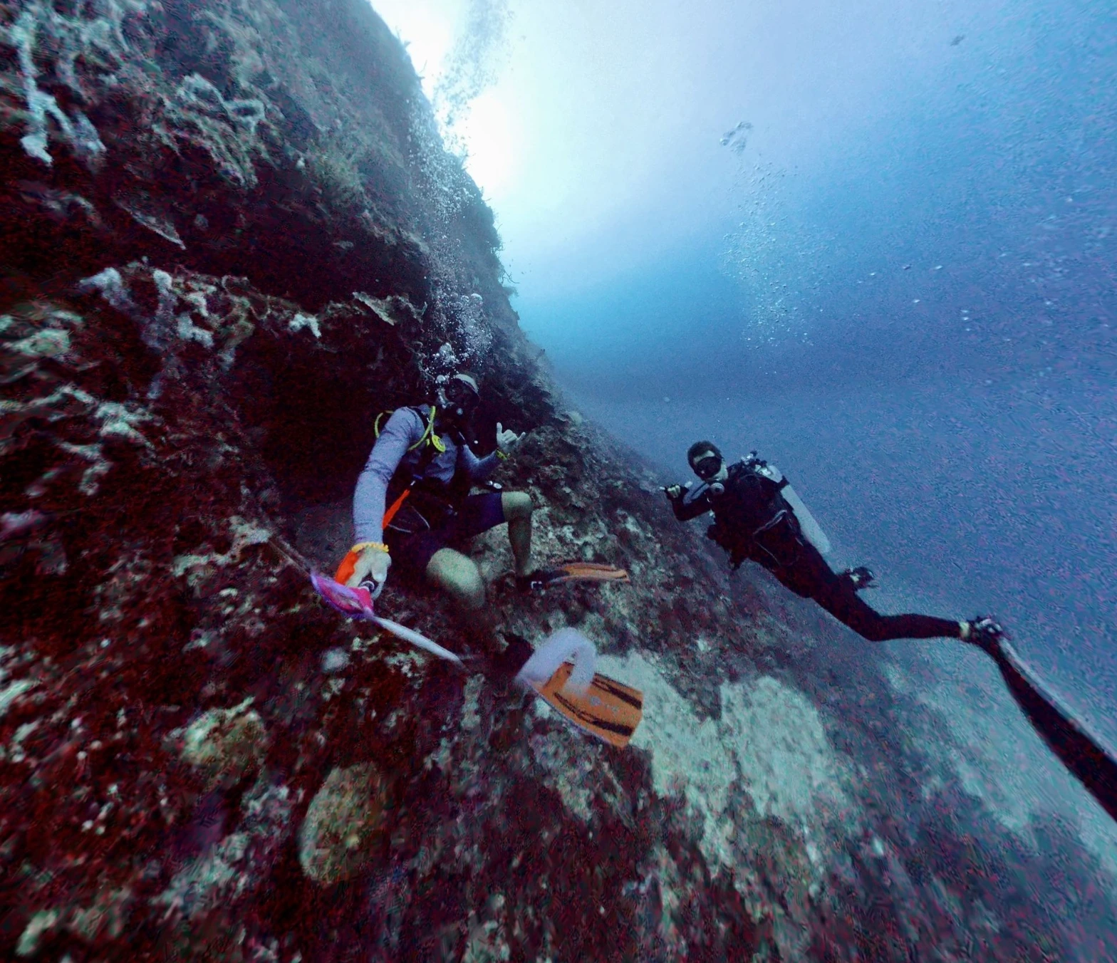 underwater image of two divers